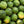 Drink Omura | Watermelon Juice 11.3 Fl. Ounces - Omura Products