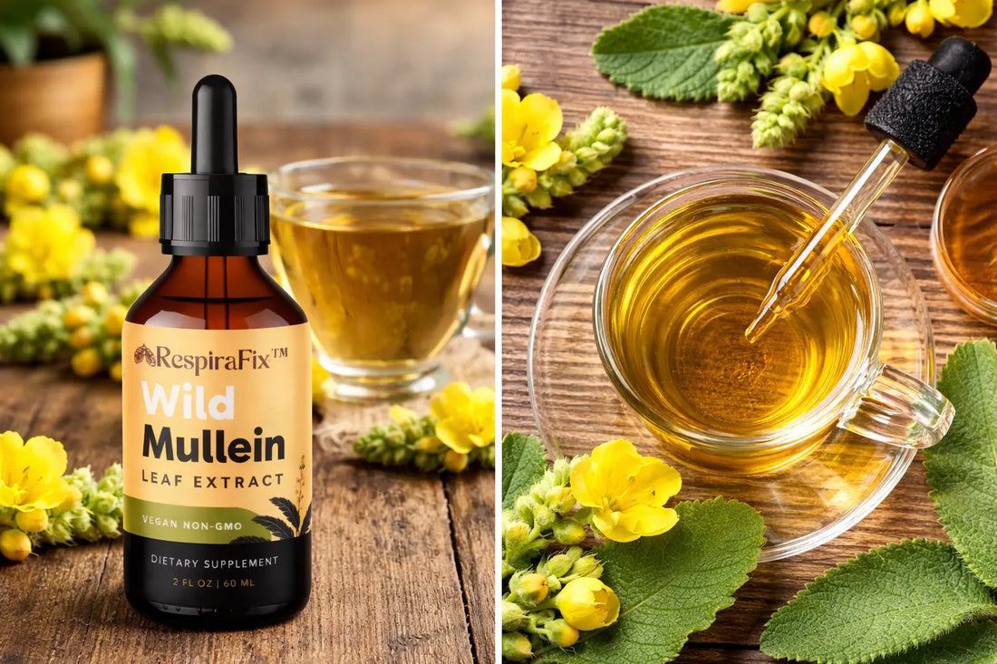 Mullein drops for respiratory support