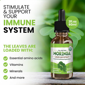 Moringa leaf liquid supplement in 2 fluid ounce dropper bottle”