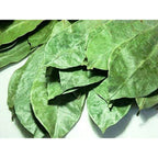 Omura Natural Soursop (Guanabana) Leaves Tea – 200 Dried Whole Leaves Omura Products