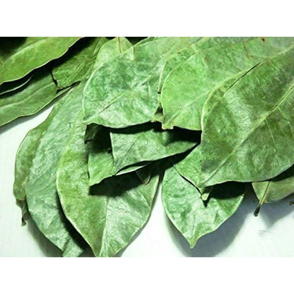 Omura Natural Soursop (Guanabana) Leaves Tea – 200 Dried Whole Leaves Omura Products