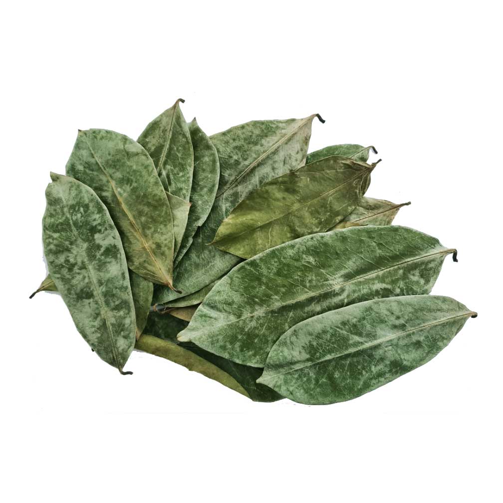 Omura Soursop Organic Leaves 3.8 oz (Approx. 200 Leaves)