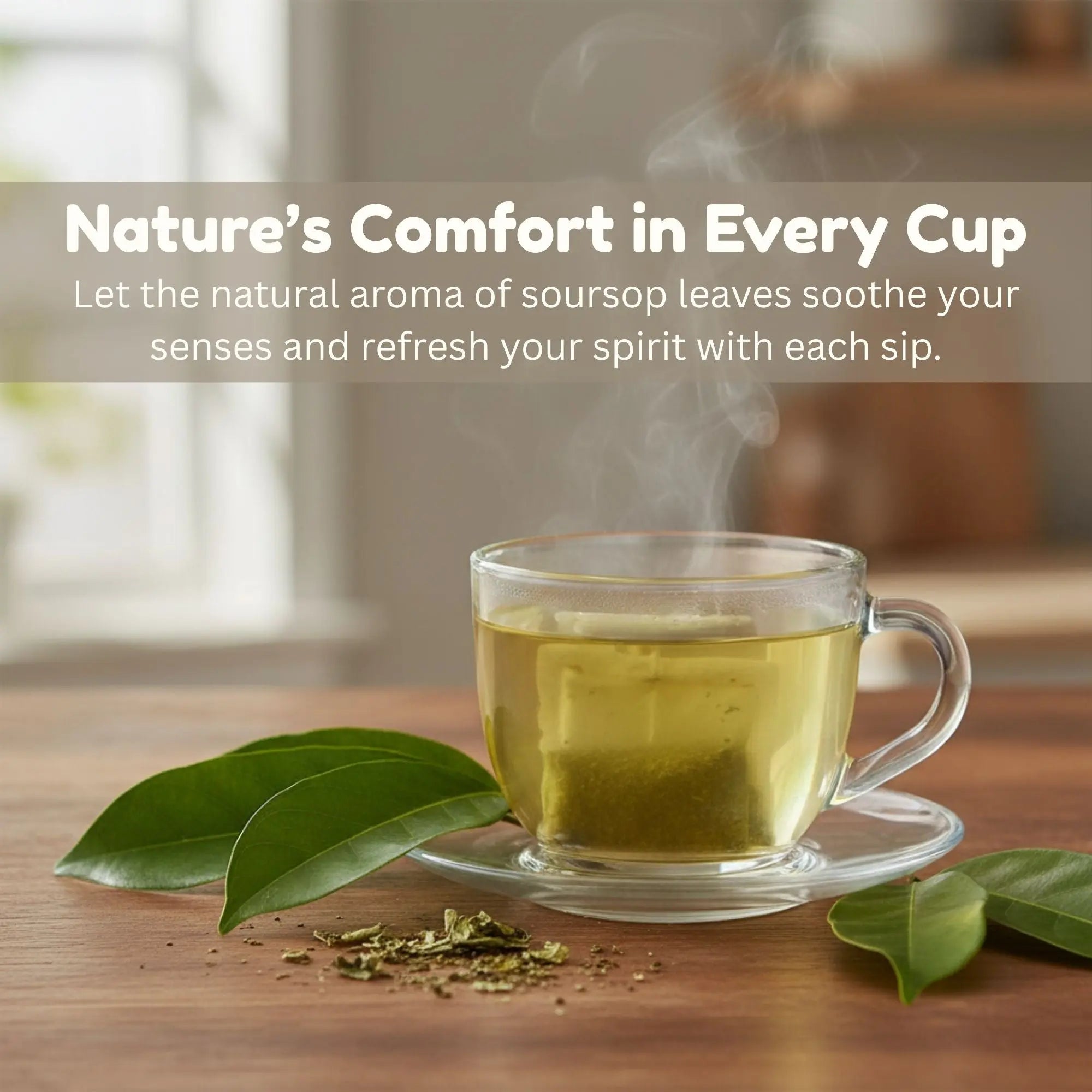 Soursop Leaf Tea Bags (Guanabana Tea) – Natural Graviola Herbal Tea | 25, 50 or 100 Tea Bags | Caffeine-Free Soursop Leaves Tea Omura Products