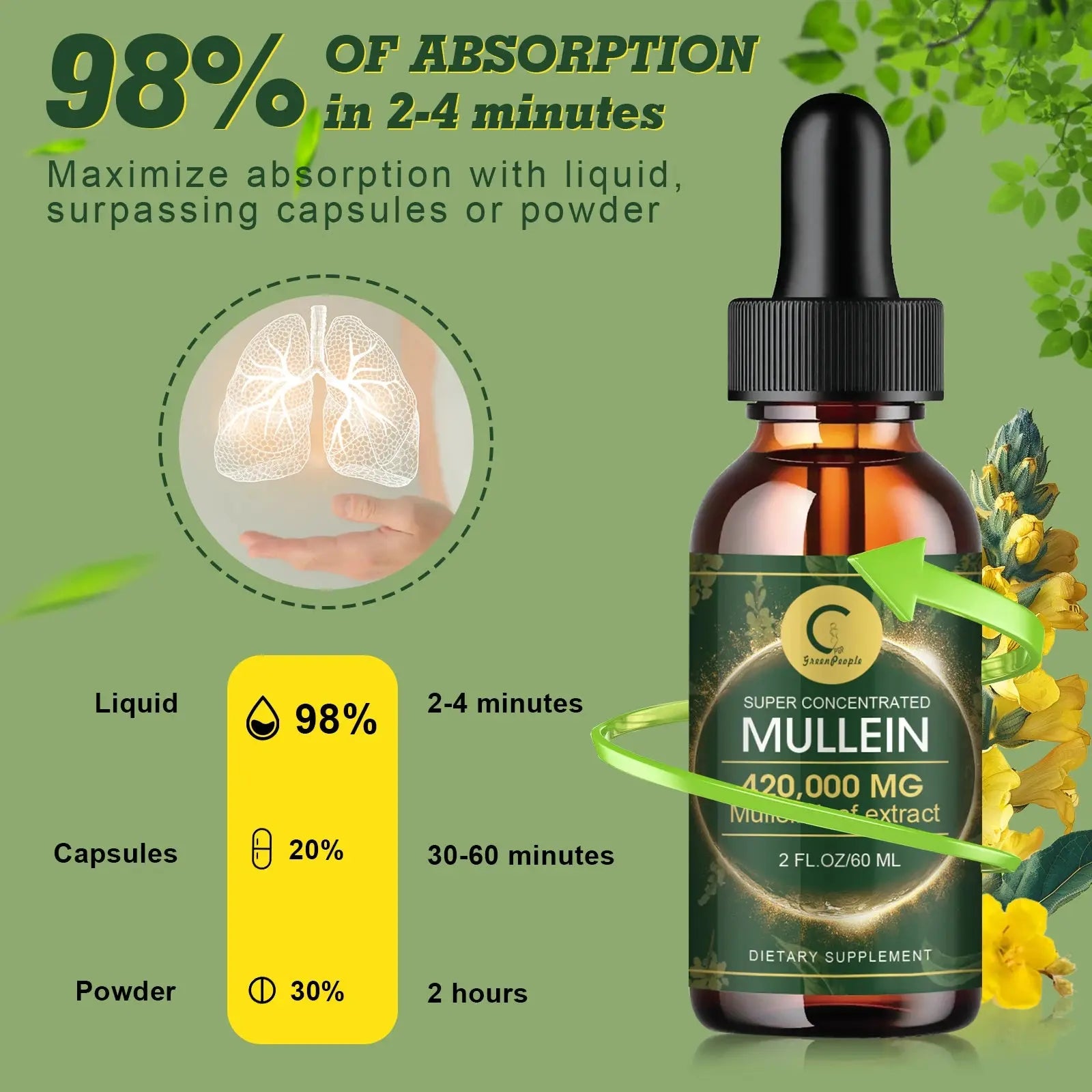 Bottle of Super Concentrated Mullein extract with absorption time information on a green background