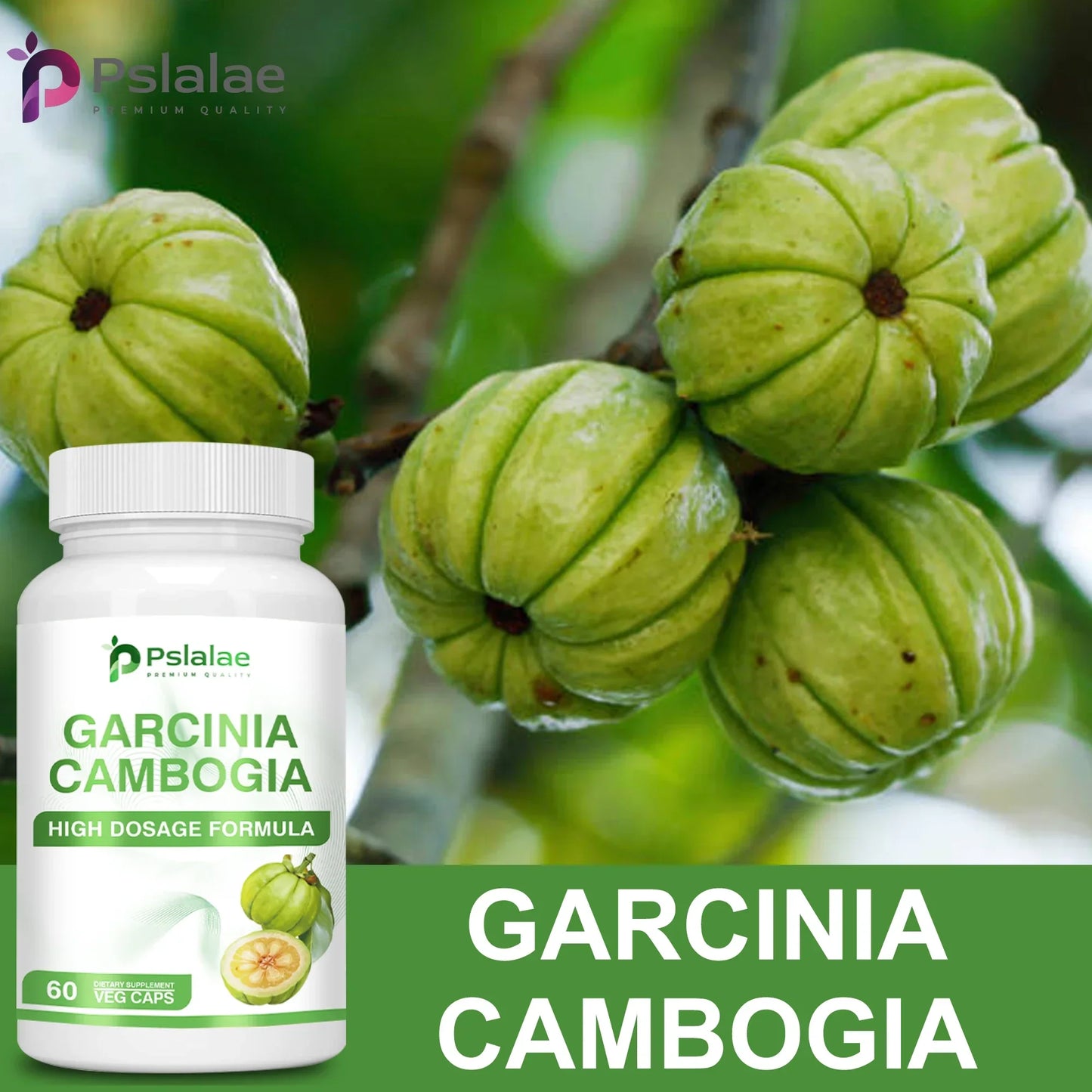 Garcinia Cambogia - Support Weight Management, Boost Metabolism, Control Appetite, and Help Lose Weight - 60 Capsules