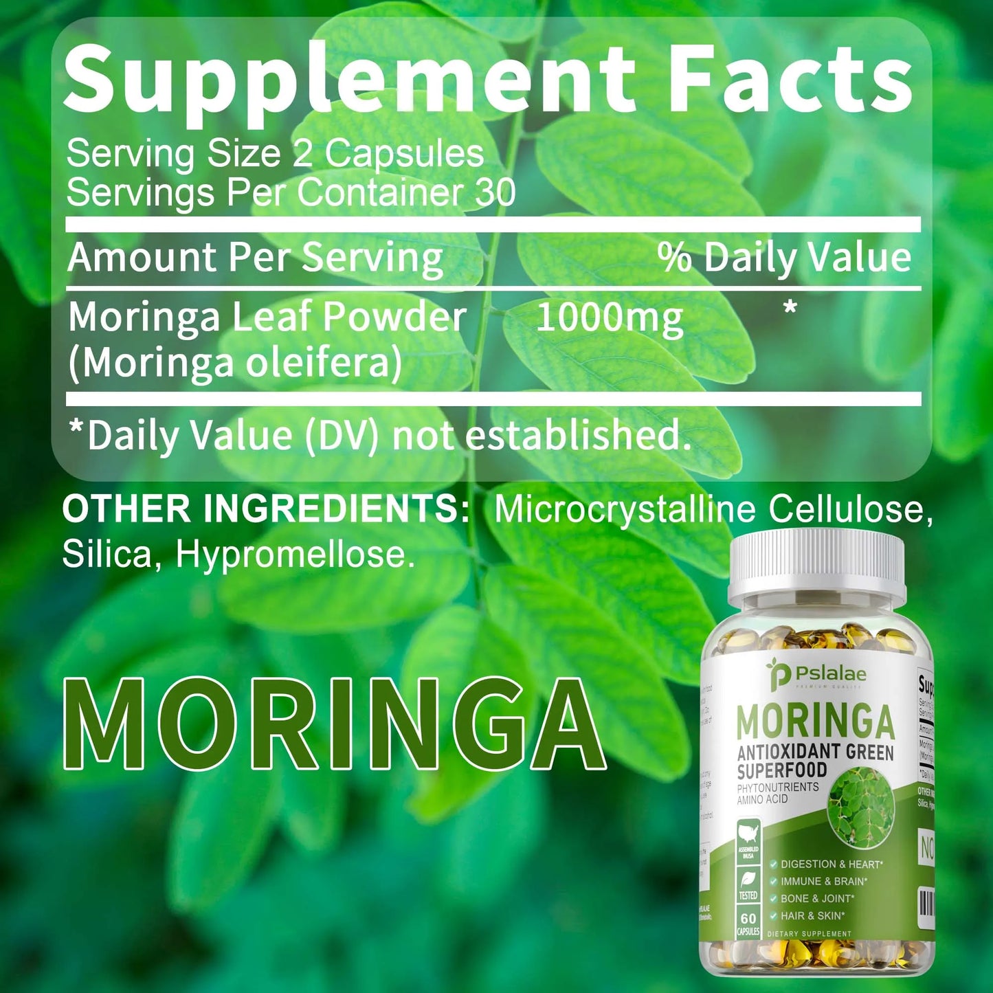 Moringa Capsules – Immune Support, Digestion & Brain Health 60ct