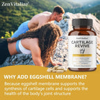 Cartilage Regeneration Supplement – Type II Collagen, Glucosamine, MSM, Vit D3 & C – Joint Mobility Support – 30/60/120 Capsules Omura Products
