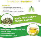 🍃 Lung Cleansing Tea | Herbal Mullein Leaf Detox Tea Bags for Respiratory Health | 15 Tea Bags Omura Products