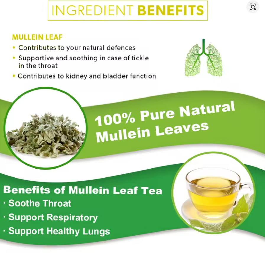 🍃 Lung Cleansing Tea | Herbal Mullein Leaf Detox Tea Bags for Respiratory Health | 15 Tea Bags