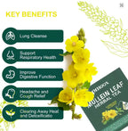 🍃 Lung Cleansing Tea | Herbal Mullein Leaf Detox Tea Bags for Respiratory Health | 15 Tea Bags Omura Products