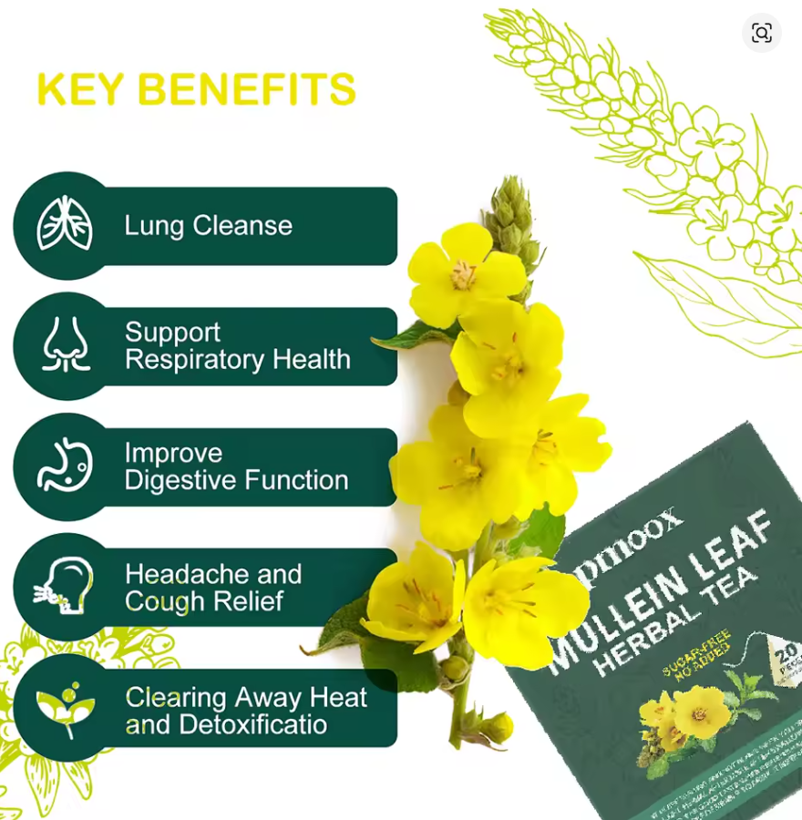 🍃 Lung Cleansing Tea | Herbal Mullein Leaf Detox Tea Bags for Respiratory Health | 15 Tea Bags