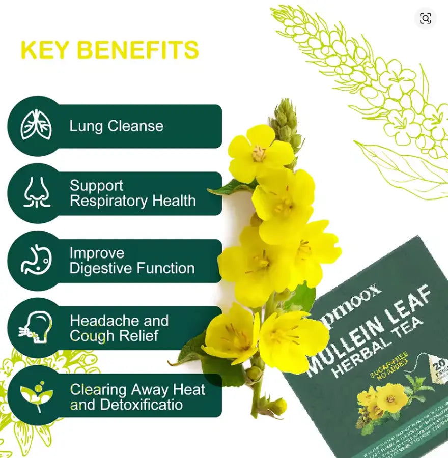 🍃 Lung Cleansing Tea | Herbal Mullein Leaf Detox Tea Bags for Respiratory Health | 15 Tea Bags Omura Products