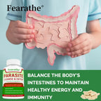 Parasite Cleanse 🌱 Natural Gut & Digestive Support | Detox & Immune Wellness | 30/60/120 Capsules Omura Products