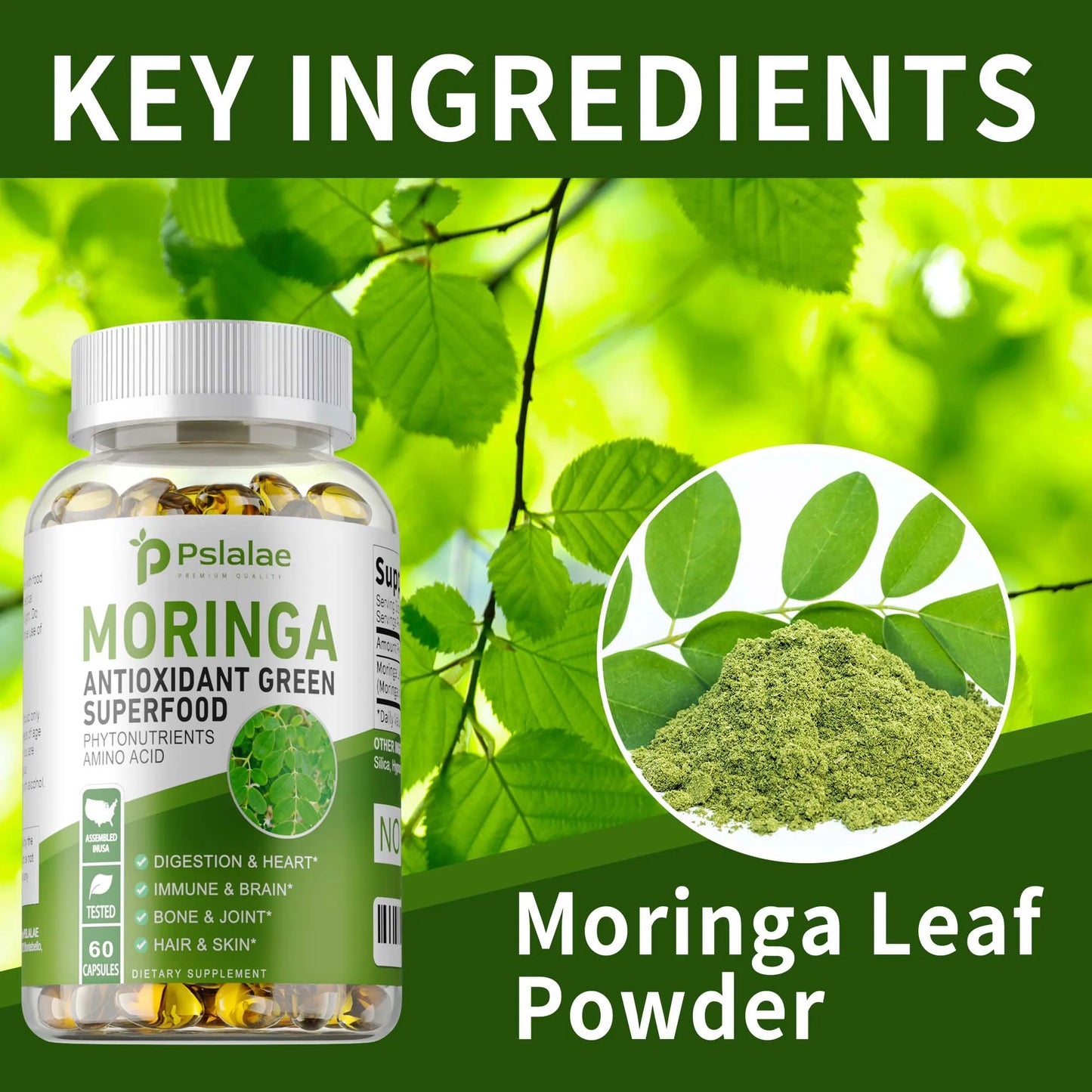 Moringa Capsules – Immune Support, Digestion & Brain Health 60ct