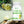 Garcinia Cambogia - Support Weight Management, Boost Metabolism, Control Appetite, and Help Lose Weight - 60 Capsules Omura Products