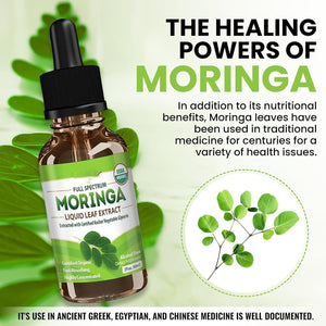 Liquid moringa leaf drops herbal supplement by Omura Products
