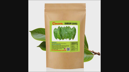 Omura Natural Soursop (Guanabana) Leaves Tea – 200 Dried Whole Leaves