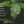 Soursop Leaf Tea Bags (Guanabana Tea) – Natural Graviola Herbal Tea | 25, 50 or 100 Tea Bags | Caffeine-Free Soursop Leaves Tea