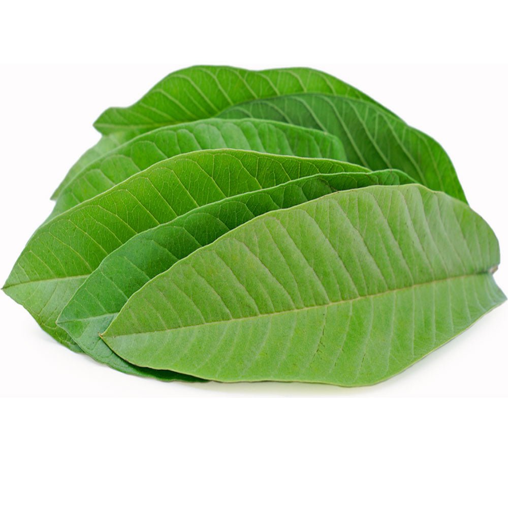 Omura Guava Leaves | Air Dried - Omura Products