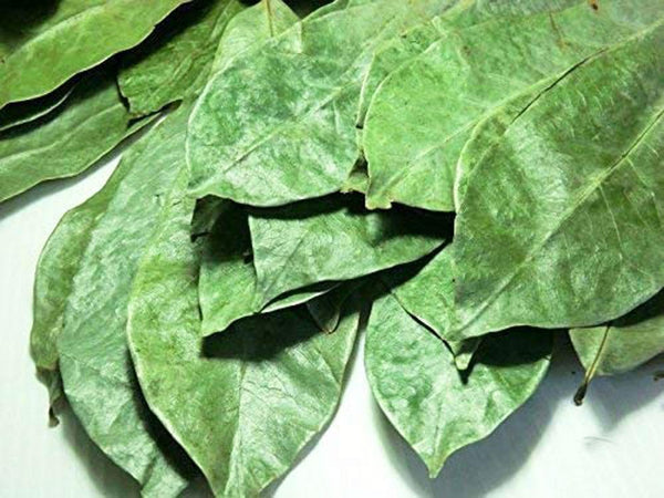 Omura Organic Soursop Graviola Leaves - Omura Products